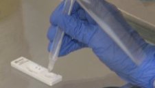 532 са новите случаи на коронавирус в страната