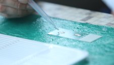 Тъжно: Още 3 жертви на коронавирус в България