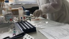 482 са новите случаи на коронавирус в България