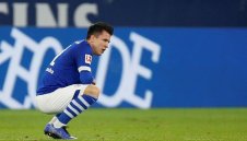 Наздраве и довиждане: Коноплянка се оказа пиянка