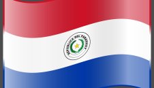 Парагвай със 17 човека щаб и 25 играчи срещу България