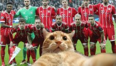 Смях! УЕФА наказва Бешикташ заради котарака + ВИДЕО