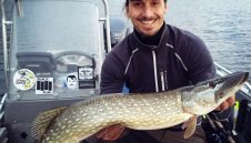 10-те най-добри отговора на Ибра + ВИДЕО