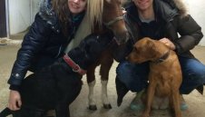 Мюлер: С конете ми е по-интересно, отколкото на плажа