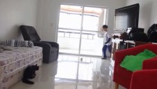 На вниманието на Петев – котешки рефлекс! + ВИДЕО