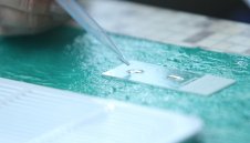 Тъжно: Още две жертви на коронавирус в България