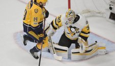 Хищниците се събудиха и схрускаха Пингвините