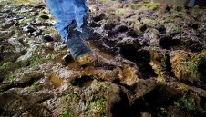 Лоте и Дортмунд ще играят на 14-и март