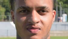 Португалско крило отлетя от Дунав