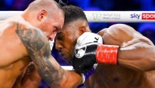 Тайсън Фюри няма шанс срещу Джошуа