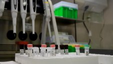 1724 са случаите на коронавирус в България