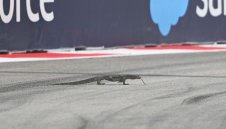 Годзила стресна пилотите от Формула 1 в Сингапур