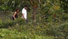 Вдигат Хумелс на крака за финала