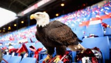 Арестуваха мъж, опитал се да удари орлицата Кайла