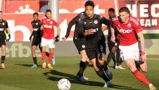 ЦСКА пипа внимателно с лале