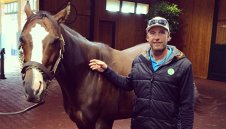 Боде се забоде в конете