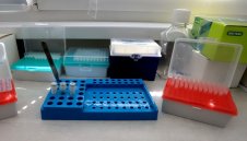 832 нови случая на коронавирус, починалите отново скочиха  