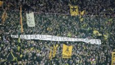 Да си купиш ядки или да засадиш орех