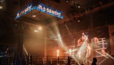 Нидерландска школа, бразилско майсторство и италиански стил на SENSHI 29