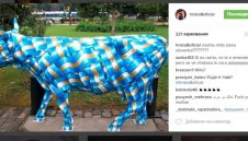 Ултраси на Левски хакнаха Стоичков заради "синьото" говедо Мила? + ВИДЕО