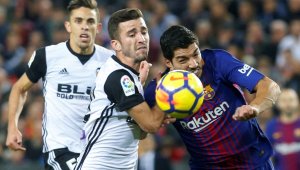 "Старата госпожа" се влюби в "прилеп"