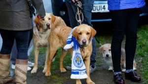 След подвига на Лестър: Вярвате ли в чудеса?