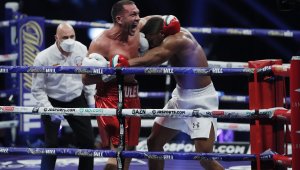 Кобрата отново ще се бие в САЩ