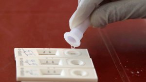 Ужас: 14 играчи на Дженоа са с коронавирус