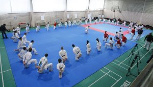 Историческо сребро за родното карате