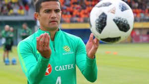 Ще скочи ли кенгуруто Тим Кейхил до Пеле? + ВИДЕО