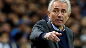 Ван Марвайк пое ОАЕ