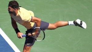 Григор Димитров – Андреас Сепи 