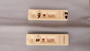 232 нови случая на коронавирус в България