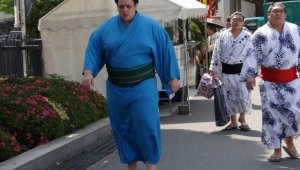 Пак пердашат Аоияма в Осака