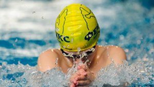 Близо 600 плувци се пускат на шестия турнир "Златоперки" 