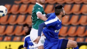 Монтана би за сефте у дома през пролетта