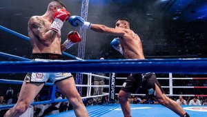 Шестима изявени български бойци ще се борят за победи на SENSHI 16