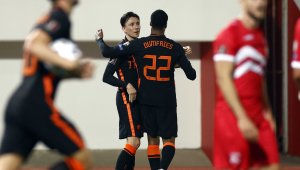 Люти "лалета" цъфнаха 7 пъти за една нощ