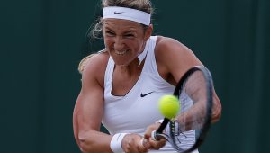 Дело спъна Вика Азаренка за Фед Къп