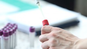 Коронавирус: 109 нови случая в България