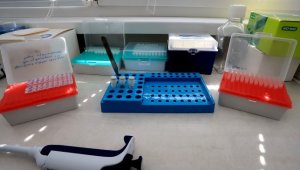 Извън контрол: 2243 нови случая на коронавирус, заразени са 29.3%