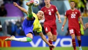 Нова лудост! Шейховете вадят умопомрачителна сума за Гълъба