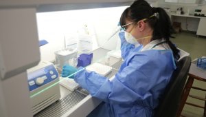 Заразените в България с COVID-19 надхвърлиха 500 души