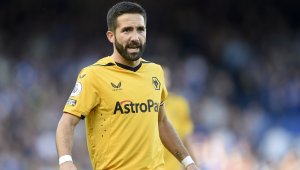 Пачките на арабите "дресираха" и "вълк"