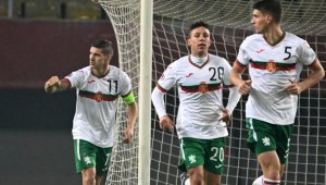 Кошмарен съдия за ЦСКА свири Унгария-България