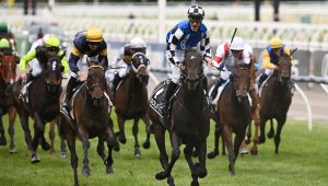 Ездачка от порносайт трупа пачки със залози за коне + СНИМКИ