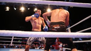 Българи спечелиха и трите европейски титли на SENSHI