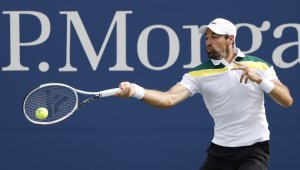 Сезонът за Шарди приключи