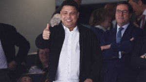 Феномена разпуска на Ибиса