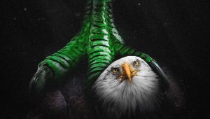 Жестока подигравка: От Олимпия се изгавриха с Лудогорец след боя снощи